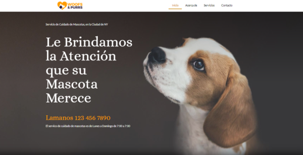 Catalogo Veterinario Sistemas WEB ONLINE